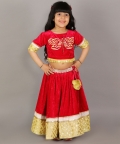Pink Velvet Embroidered Blouse With Lehnga