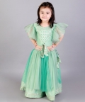 Green Zari Organza Blouse With Net Lehnga