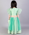 Green Zari Organza Blouse With Net Lehnga