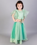 Green Zari Organza Blouse With Net Lehnga