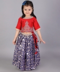Red And Blue Zari Embroidery Lehnga Set