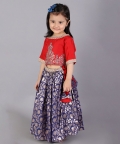 Red And Blue Zari Embroidery Lehnga Set