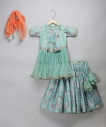 Green Bird Printed Peplum Blouse Lehnga Set