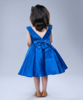 Diamond Embelished Partywear Dress