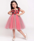 Flower Embelished Net Partywear Dress-Pink