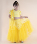 Yellow Embroidered Top And Ghaghra With Dupatta