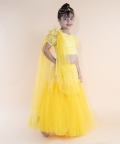 Yellow Embroidered Top And Ghaghra With Dupatta