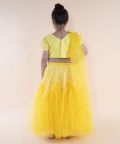 Yellow Embroidered Top And Ghaghra With Dupatta
