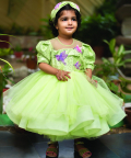 Huming Bird Dress