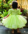 Huming Bird Dress
