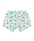 SuperBottoms Young Boy Trunks (Pack of 3) -Finding Dino