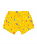 SuperBottoms Young Boy Trunks (Pack of 3) -Finding Dino