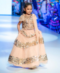Embellished Blush Lehanga Set