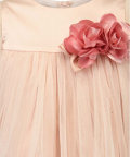 Soft Pink Net Overlay Dress