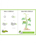 Step By Step Drawing Books (Incredible Insects)