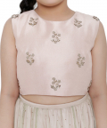 PS Kids Blush Colour Silk Embroidered Choli With Mint Colour Mukaish Net And Blush Colour Silk Lehenga With Mint Colour Net Dupatta For Girls