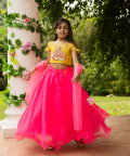 Shri Lehenga Set