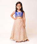 Blue Gota Top with Golden Lehenga 