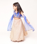 Blue Gota Top with Golden Lehenga 