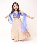 Blue Gota Top with Golden Lehenga 