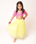 Lemon Tulle Lehenga with Pink Choli