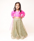Rani Pink Top with Sequin Lehenga 