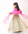 Rani Pink Top with Sequin Lehenga 