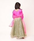 Rani Pink Top with Sequin Lehenga 
