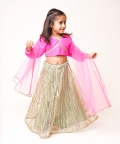 Rani Pink Top with Sequin Lehenga 