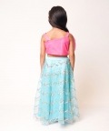 Organza Lehenga Set with Pink Rose Top