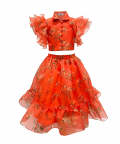 Orange Printed Organza Ruffled Lehenga Set