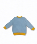 Republic Day Celebration Sweatshirt