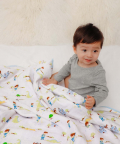 Adventures Of A Prince Organic Reversible Blanket