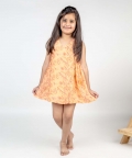 Dragon Fly Bel Jaal Angrakha Dress