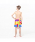 Multicolored Blocks  Fun In The Sun Shorts