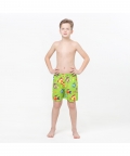 Multicolored Fish Fun In The Sun Shorts