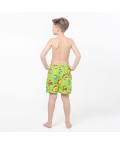Multicolored Fish Fun In The Sun Shorts