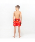 Multicolored Stars Fun In The Sun Shorts
