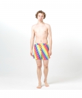 Multicolored Pinstripes Fun In The Sun Shorts
