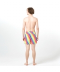 Multicolored Pinstripes Fun In The Sun Shorts