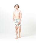Multicolored Tortoises Fun In The Sun Shorts