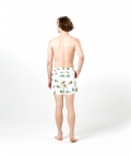 Multicolored Tortoises Fun In The Sun Shorts