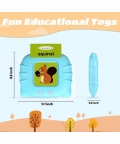 Sound Flash Card Toy Talking Early Learning Device