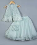 Powder Blue Organza Frill Lehenga Set
