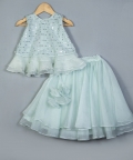 Powder Blue Organza Frill Lehenga Set
