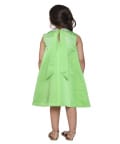 Parrot Green Dress