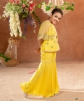 Dilkush-Embroidered Vortex Yellow Sharara Cape Set Of 4