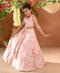Ziva-Embroidered Vegan Silk Pink Draped Blouse Dupatta Lehenga Set Of 2 