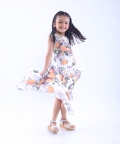 Orange and Dragonfly Printed Dress