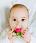 Oli & Carol Ramonita The Radish Chewy Teether
